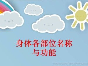 《第1課 體育與健康基礎(chǔ)知識(shí)：身體各部位名稱》PPT課件(部級(jí)優(yōu)課).ppt