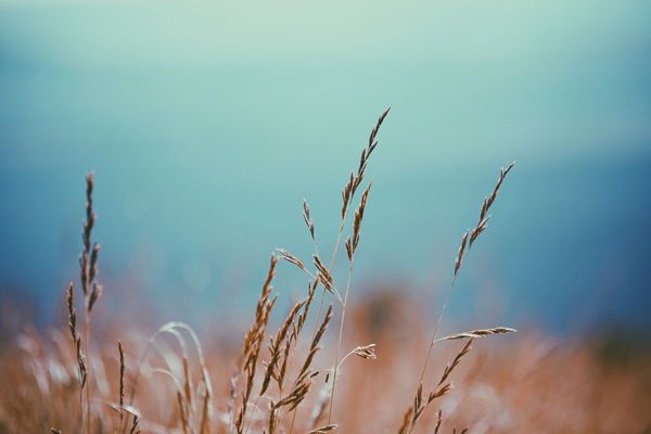 心理疾病康復(fù)中的改變環(huán)境