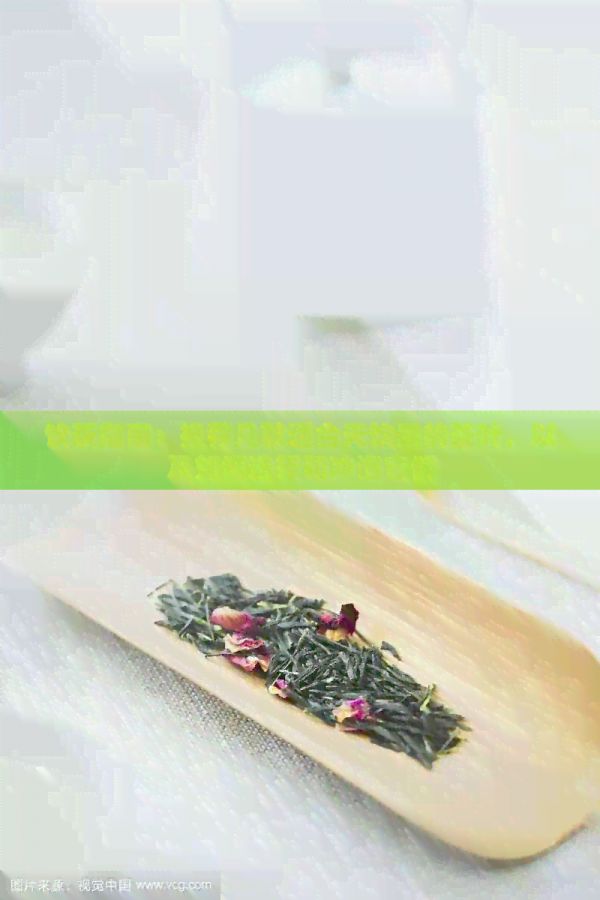 飲茶指南：推薦幾款適合天飲用的茶葉，以及如何選擇和沖泡它們