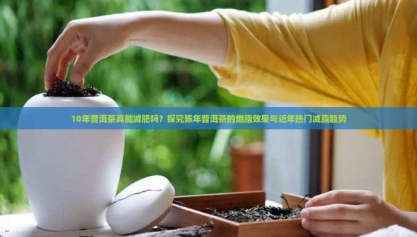 10年普洱茶真能减肥吗?探究陈年普洱茶的燃脂效果与近年热门减脂趋势