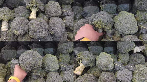 在杂货店买有机食品的妇女。期待女性选择健康食品。的生活方式。西兰花