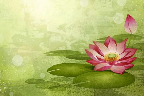 2024 皮蛋保存方法有哪些 腌制皮蛋的條件有哪些
