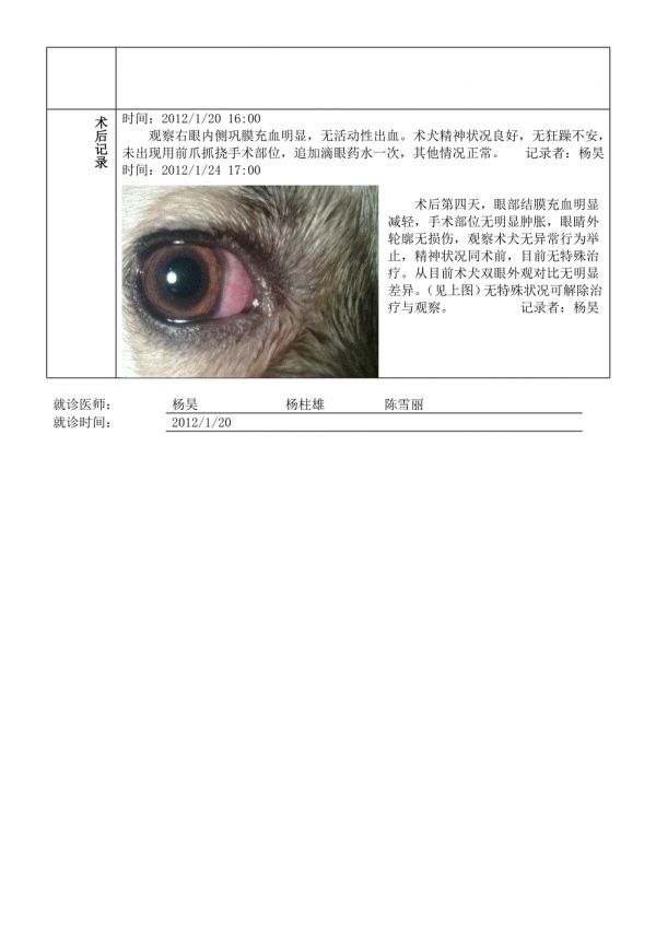 術(shù)后病例記錄.doc_第2頁