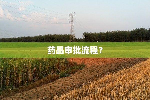 药品审批流程？