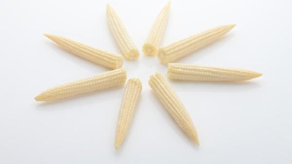 全谷物包括哪些食物