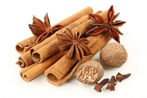 中醫(yī)推薦｜幾味中藥調理胃腸道，便宜見效快