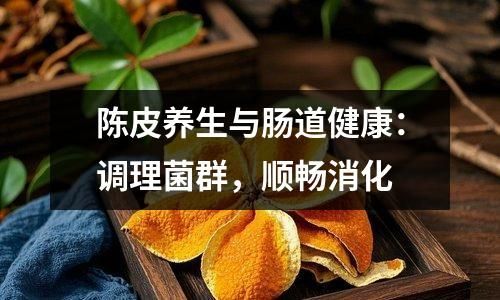 陳皮養(yǎng)生與腸道健康：調(diào)理菌群，順暢消化
