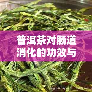 普洱茶對腸道消化的功效與作用，聽聽怎么說
