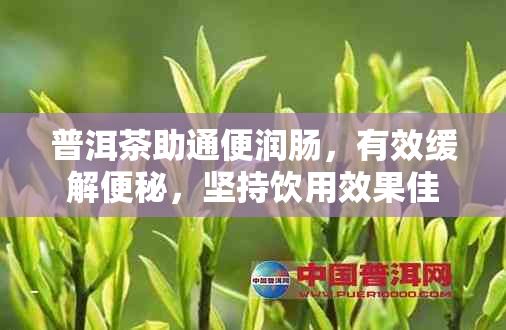 普洱茶助通便潤腸，有效緩解便秘，堅持飲用效果佳