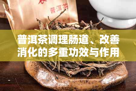 普洱茶調(diào)理腸道、改善消化的多重功效與作用機(jī)制