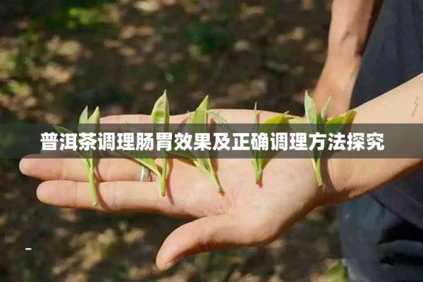 普洱茶調(diào)理腸胃效果及正確調(diào)理方法探究