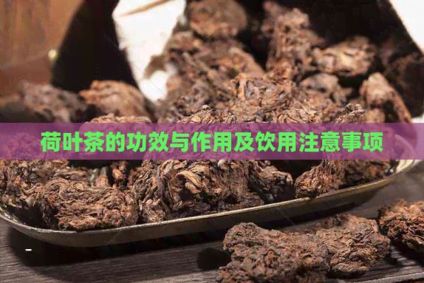 荷葉茶的功效與作用及飲用注意事項(xiàng)