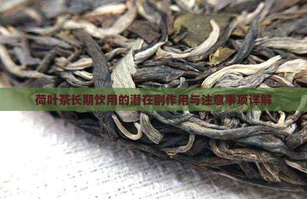 荷葉茶長期飲用的潛在副作用與注意事項詳解