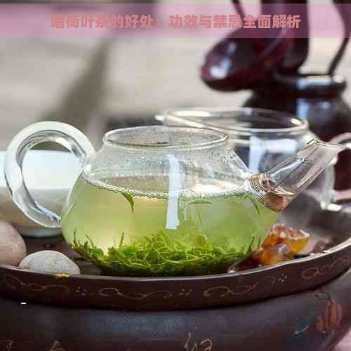 喝荷葉茶的好處：功效與禁忌全面解析