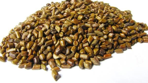 冬瓜荷葉決明子茶能長期喝嗎