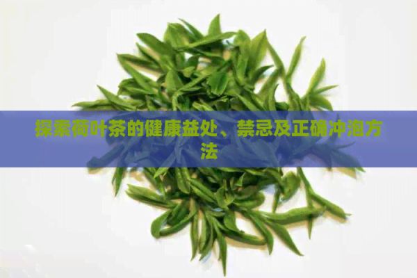 探索荷葉茶的健康益處、禁忌及正確沖泡方法