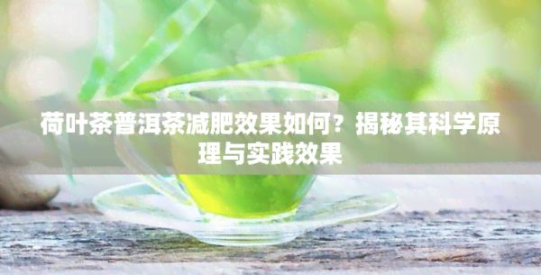 荷葉茶普洱茶減肥效果如何？揭秘其科學(xué)原理與實(shí)踐效果
