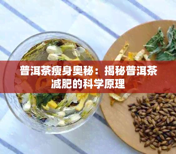 普洱茶瘦身奧秘：揭秘普洱茶減肥的科學(xué)原理