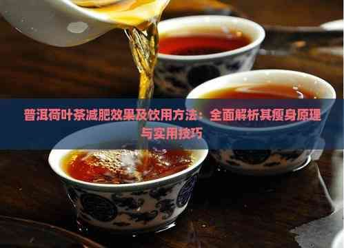 普洱荷叶茶减肥效果及饮用方法：全面解析其瘦身原理与实用技巧