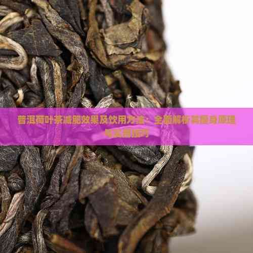 普洱荷叶茶减肥效果及饮用方法：全面解析其瘦身原理与实用技巧