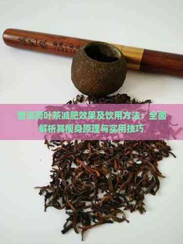 普洱荷叶茶减肥效果及饮用方法：全面解析其瘦身原理与实用技巧