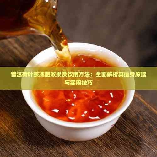 普洱荷叶茶减肥效果及饮用方法：全面解析其瘦身原理与实用技巧