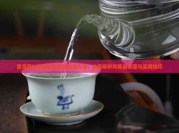 普洱荷叶茶减肥效果及饮用方法：全面解析其瘦身原理与实用技巧