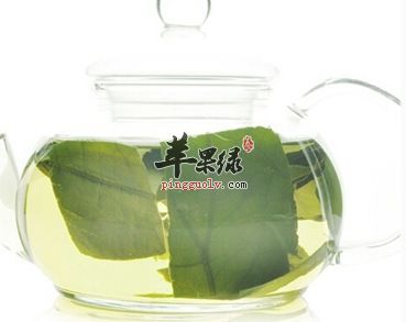 荷葉泡水喝需要注意的五點