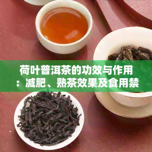 荷葉普洱茶的功效與作用：減肥、熟茶效果及食用禁忌