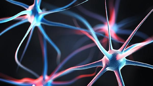 明列子致癌？真相揭秘：科學告訴你它為何是健康之選！