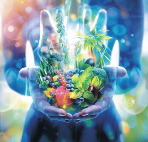 Embracing a Holistic Approach to Health