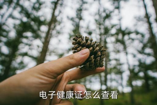 電子健康證怎么查看