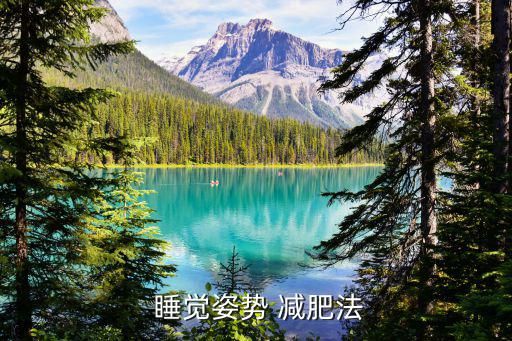  睡覺姿勢 減肥法