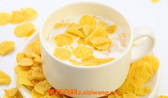 玉米片