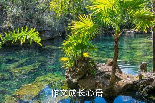 作文成长心语