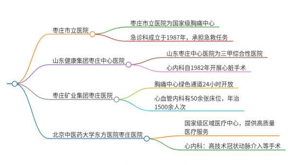 2025年山東棗莊治療胸痛伴出汗的醫(yī)院有哪些
