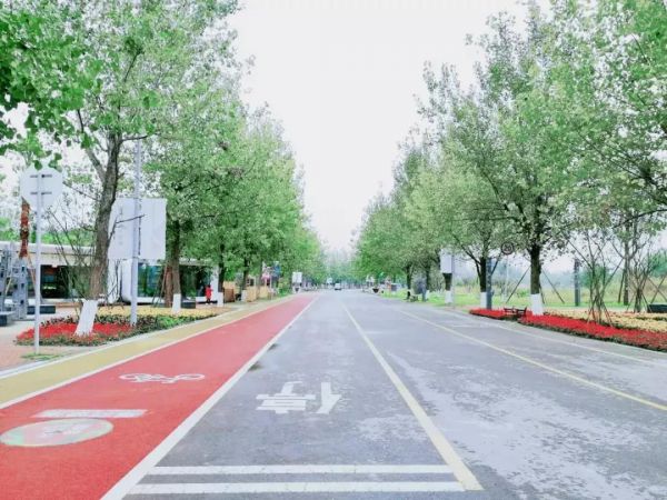 成都飛行汽車公開演示，探索未來科技的小巷飛行之旅