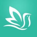 百靈健康app電腦版icon圖