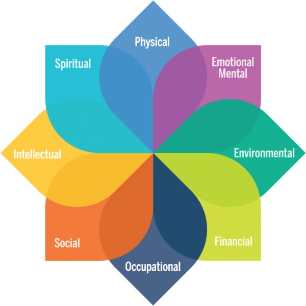Dimensions of Well-being Defined