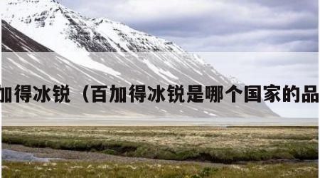 百加得冰銳（百加得冰銳是哪個國家的品牌）