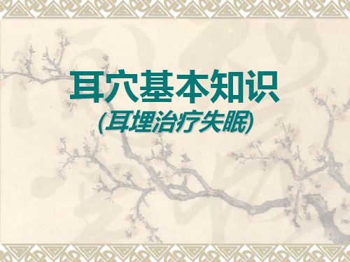 耳穴基本知識(shí)(課件)