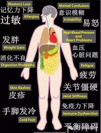 雾霾对幼童的健康影响及防范办法-幼师课件网第8张图片