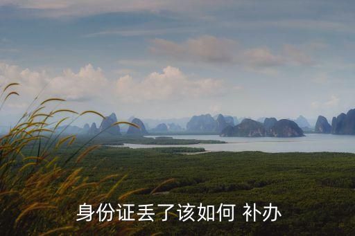  身份證丟了該如何 補(bǔ)辦