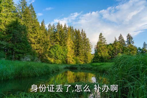  身份證丟了,怎么 補(bǔ)辦啊