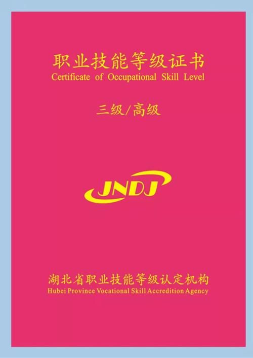高級健康管理師證書：你需要知道的一切