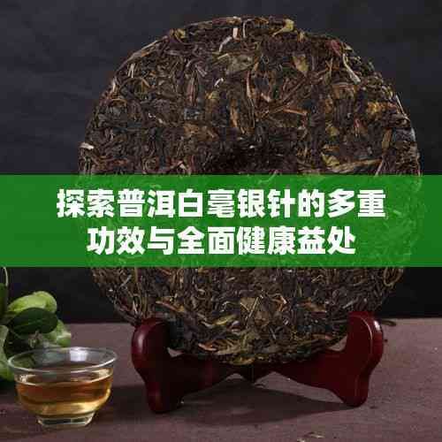 探索普洱白毫銀針的多重功效與全面健康益處