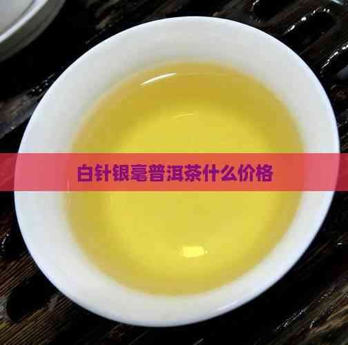 白針銀毫普洱茶什么價格