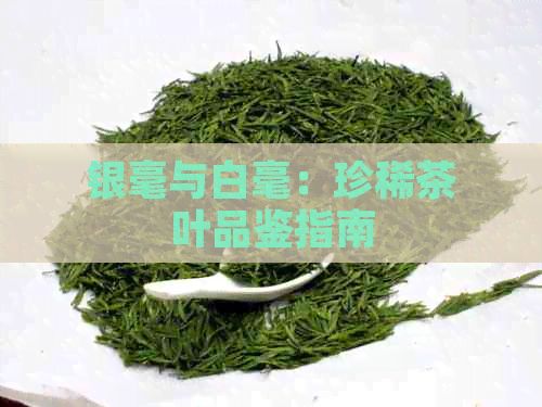 銀毫與白毫：珍稀茶葉品鑒指南