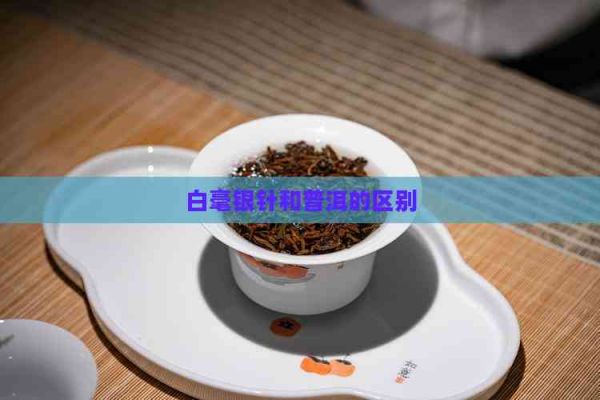 白毫銀針和普洱的區(qū)別