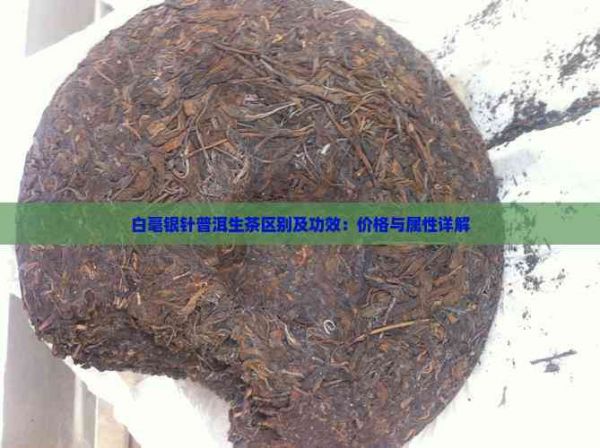 白毫銀針普洱生茶區(qū)別及功效：價(jià)格與屬性詳解